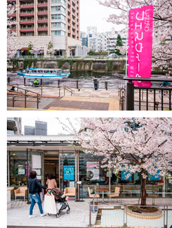 「品川フェスウィーク2017」