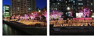 目黒川みんなのイルミネーション2013